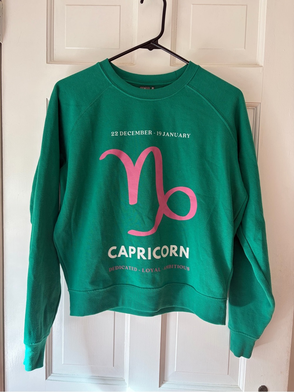 Anthropologie Green Sweatshirt with Pink Capricorn Graphic
